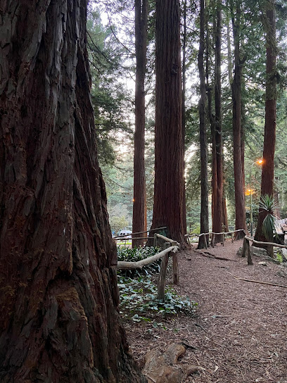 Playground | Stern Grove