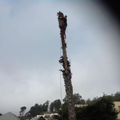 Cabrera tree care