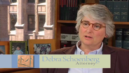 Schoenberg Family Law Group, P.C. - Divorce Attorneys