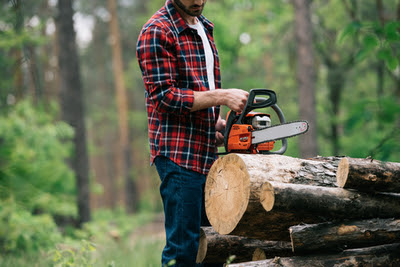 Tree Service San Francisco