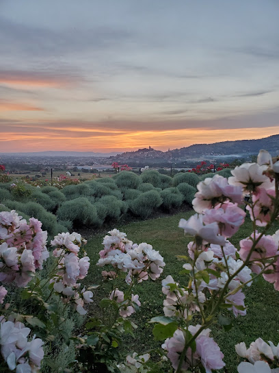 Wanderful Retreats