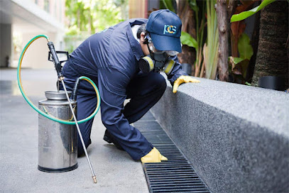 City Hunt Pest Control