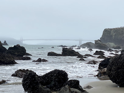 Seal Rocks Beach