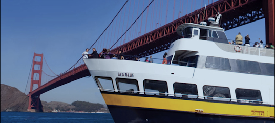 Blue & Gold Fleet