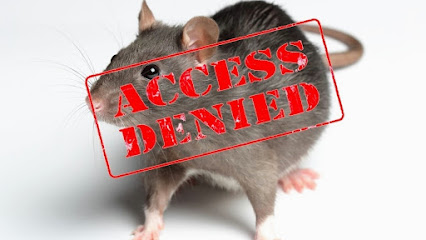 Alley Cat - Rodent Exclusion Company