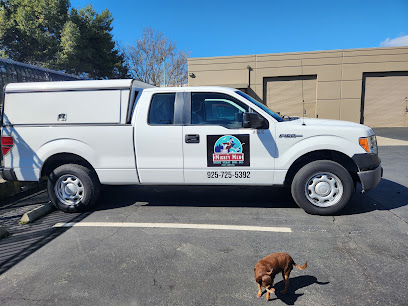 Mighty Men Pest Control
