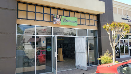 Reptilemania