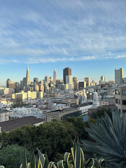 SF view